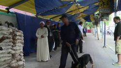 CLEAN : Polls open in Egypt presidential election News Clip