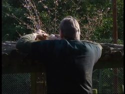 UK: BEENHAM: WOLF FAMILY Instructional Video