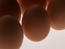 ECU, PAN, Rows of brown eggs against white background Stock Footage
