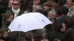 CLEAN : Notre Dame cathedral's new bells News Clip