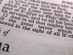 HD 1080i Book of Joshua Stock Footage