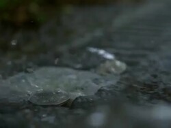 High Speed UK five pound note and coins almost being washed down drain Stock Footage