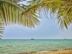 Tropical beach Stock Footage