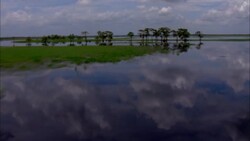 Glass-like wetlands in the Florida Everglades reflect the clouds in the sky. Stock Footage