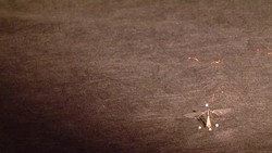 RoboBees Design Poses Intriguing Engineering, Computer Science Challenges Instructional Video