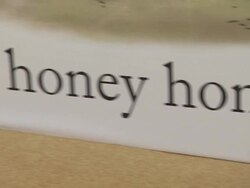 Atmosphere: Signage at the 'Winnie The Pooh' Honey-Colored-Carpet Premiere at Burbank CA. (Footage by WireImage Video/Getty Images Entertainment Video) Stock Footage