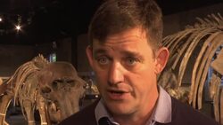 Family of four woolly mammoths up for auction in UK Instructional Video