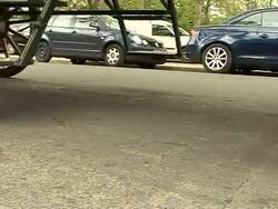 CLEAN: Paris gets horse-driven carriages News Clip