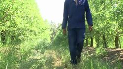 CLEAN : S Africa hikes farm worker pay News Clip