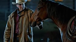 SLO MO TU Cowboy stroking horse on face at night Stock Footage