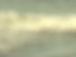 Anonymous Jet Ski Tourists News Clip