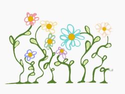 Growing colorful Flowers Stock Footage