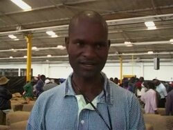 CLEAN: Zimbabwe's tobacco industry goes up in smoke News Clip