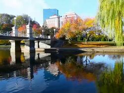 Autumn in Boston Stock Footage