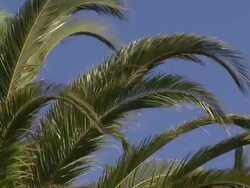 Sun setting over Cliff Richard's wine estate News Clip