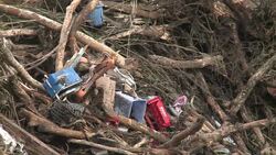 CLEAN : Japan rescuers search for typhoon News Clip