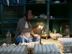 MS Egg vendor at new market  / Calcutta, West, Bengal India Stock Footage