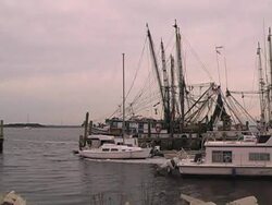 shrimp boats Stock Footage