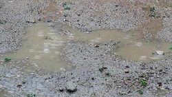 Raining on the dirt floor in Rainy Season Stock Footage