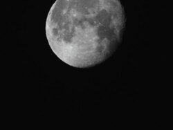 Moon Setting - Time Lapse Stock Footage