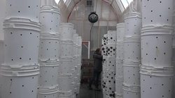 VOICED : Las setas hacen girar la economia circular en Montreal News Clip