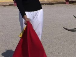 ENTERTAINMENT-FRANCE-BULLFIGHTING-WOMEN News Clip