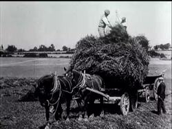 NAZI AIR-RAID OFFENSIVE - News Clip