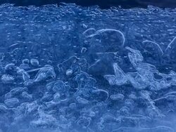 Time Lapse Ice detail, Iceland, Europe Stock Footage