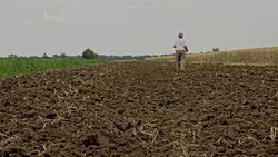 WS DS Woman Sowing The Seeds Stock Footage