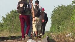 CLEAN : Refugee wave into hotspot Hungary hits new record high News Clip