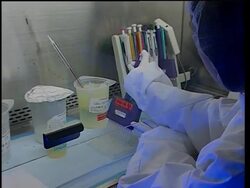 Thailand - AIDS vaccine trials News Clip