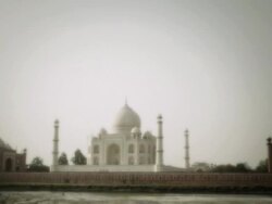 WS Shot of Taj Mahal / Agra, Uttar Pradesh, India Stock Footage