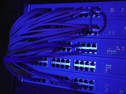 Blue light Loopable Server Stock Footage