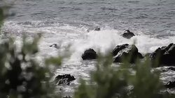 Portugal Aï¿½ores Sï¿½o Miguel mar Stock Footage