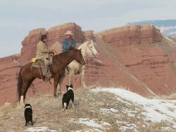 LA Cowboy and cowgirl on horseback stop riding on hill top with dogs and red rocks behind / Shell, Wyoming, United States Stock Footage