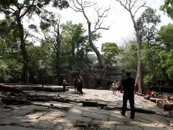 WS Tourists walking  around on ruins and in front of temples at Ta Prohm / Siem Reap, Siem Reap, Cambodia Stock Footage