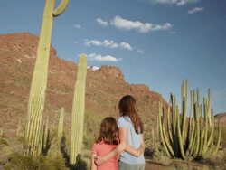 MS TU Mother and daughter looking up tall Saguaro cactus in desert / Organ Pipe Cactus National Park, Arizona, United States  Stock Footage