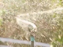 Sprinkler (Super Slow Motion) Stock Footage