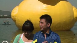 CLEAN : Giant rubber duck continues world tour News Clip