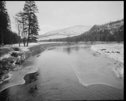 THE SNOW MAKERS News Clip