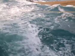 CU POV Shot of Dolphins swim in wash off trawler amongst net / Northern Territory, Australia Stock Footage