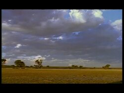 WA Barren African Landscape, Botswana Stock Footage