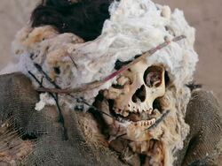CU Shot of skull at Chauchilla cemetery / South Of Peru, Nazca, Peru Stock Footage