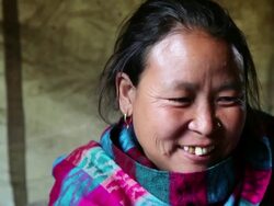 WS Woman that works as collector of sex herb / Durma, Banke District, Nepal Stock Footage