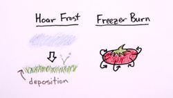 What is Freezer Burn? Instructional Video