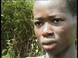 Report on child labout in the Ivory Coast News Clip