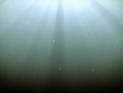 Water Particles Stock Footage