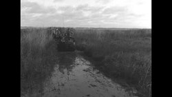 US soldiers testing amphibious vehicles in marsh in 1950s News Clip