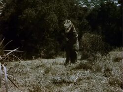 B-Movie Monster Stock Footage