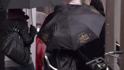 People walking through rain in Amsterdam News Clip